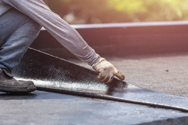 Professional Wet Basement Repair technician working in Larwill, IN
